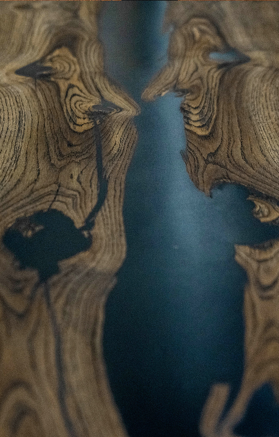 Межкомнатная дверь Слеб-декор №4